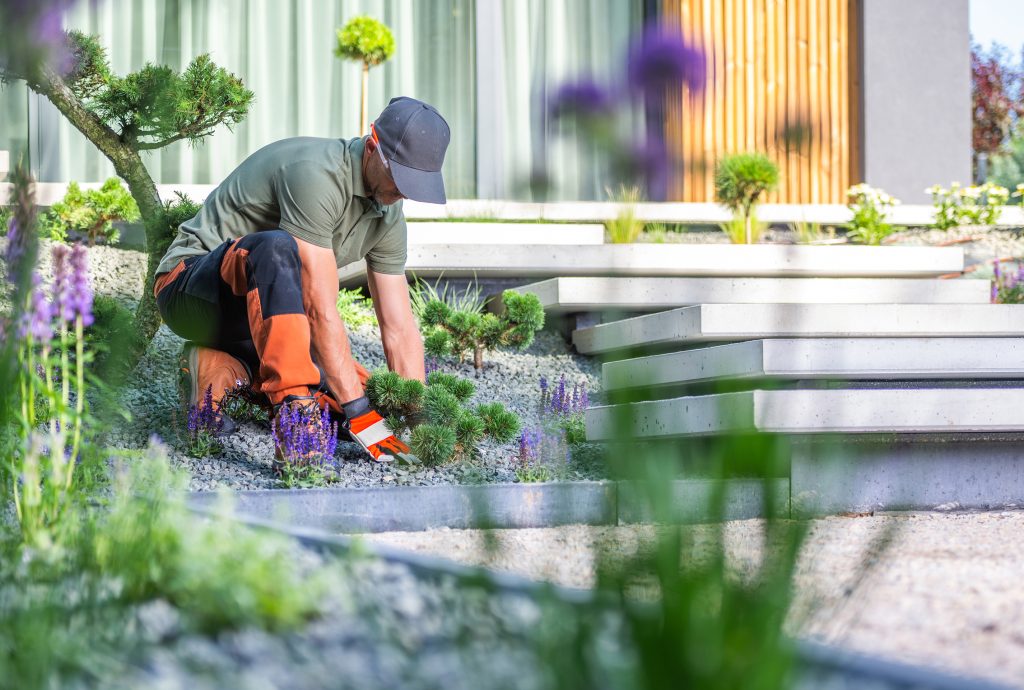 Bild eines Mannes im Vorgarten der Blumen pflanzt.