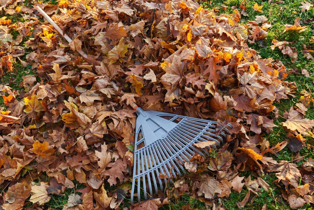 Gartenabfall auf Rasen mit Gartentools