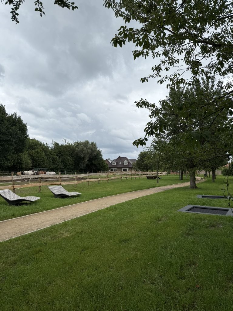 Außenanlage mit Spazierweg, Trampolinen und Liegen.